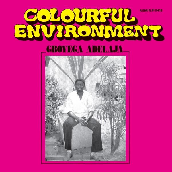 Colourful Environment - Gboyega Adelaja