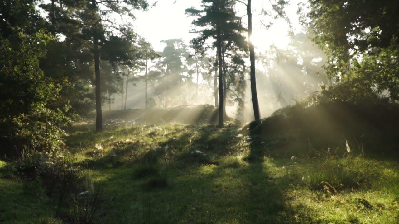  - Nature Meditations
