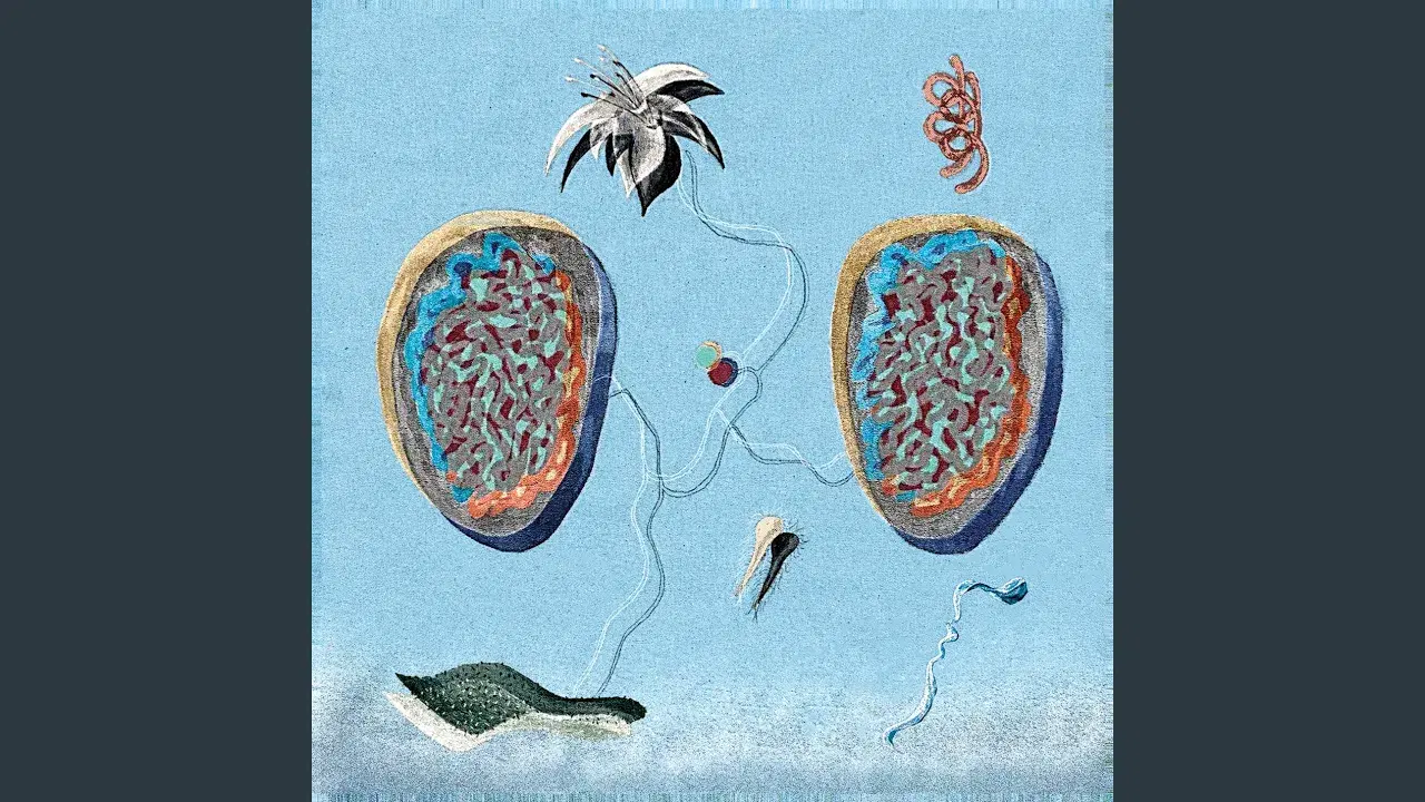 Glimpses of an Eternal Bloom - Berk Icli