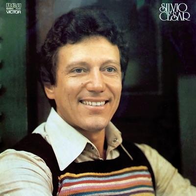 Som E Palavras - Silvio Cesar