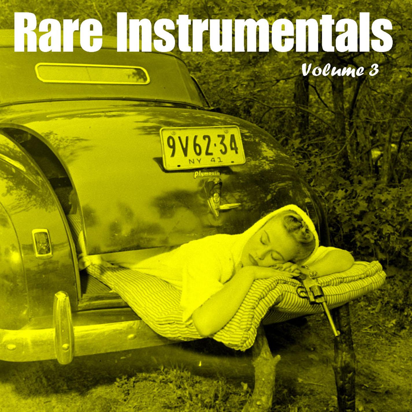 Rare Instrumentals From Vinyl - Vol 3 - The Vigilantes