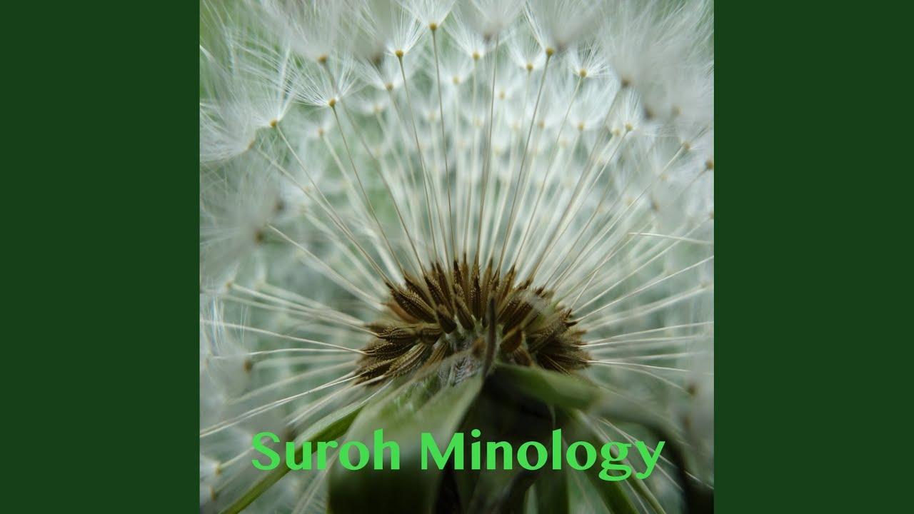  - Suroh