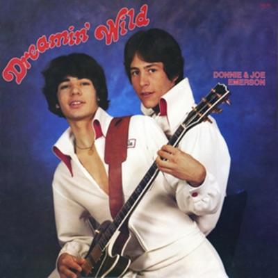 Dreamin' Wild - Donnie & Joe Emerson