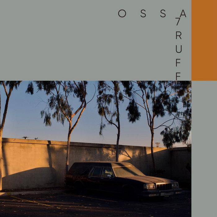  - Ossa