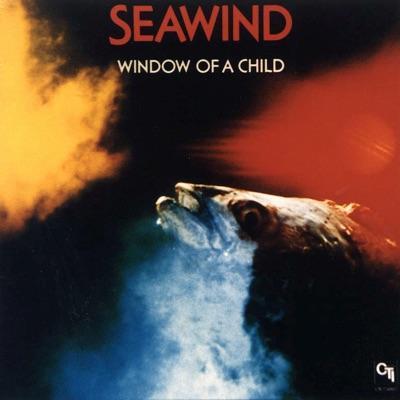 Window Of A Child - Seawind