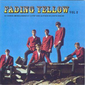 fading yellow vol.2 - The Network