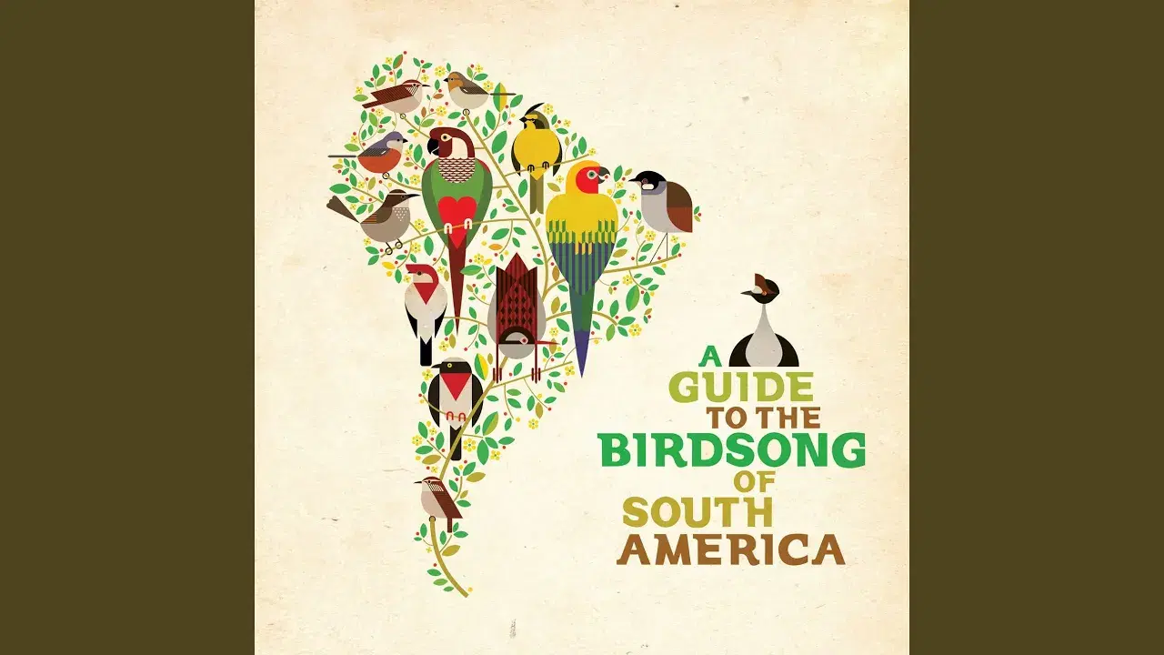 A Guide to the Birdsong of South America - Barrio Lindo