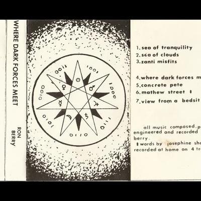 British Cassette Culture - Recordings 1975-1984 - Ron Berry