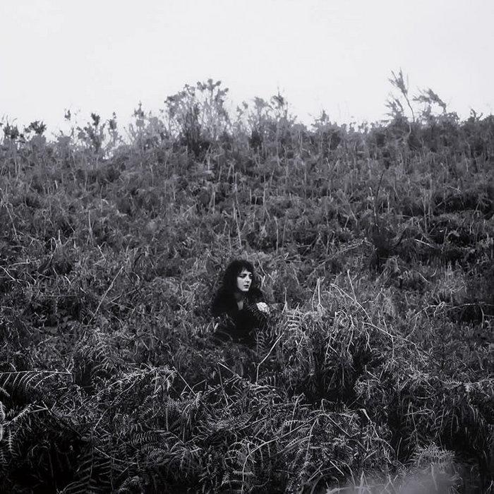 Pyrrhic - Elaine Malone
