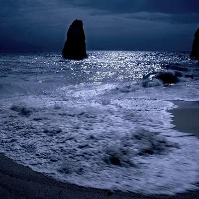 The Wave - Wave