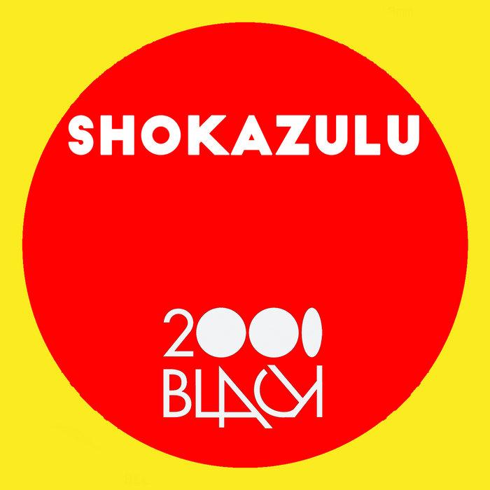 Navigate Your Soul - Shokazulu