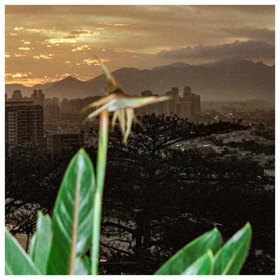 Ubaruh - Ubaruh