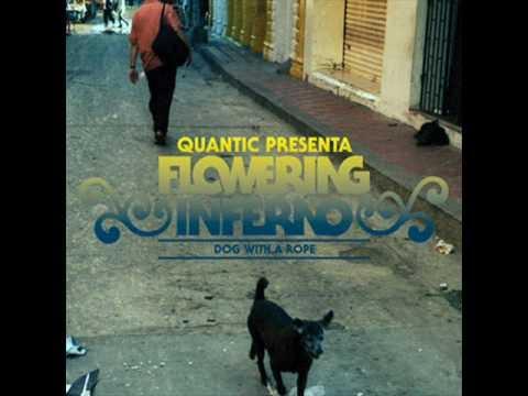 Tradition In Transition - Quantic & his Combo Bárbaro