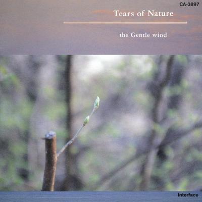 Tears Of Nature (ティアズ・オブ・ネイチュア) - The Gentle Wind (ザ・ジェントル・ウインド)