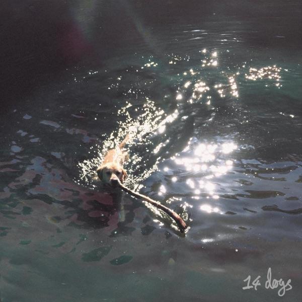 14 dogs - mothdrop