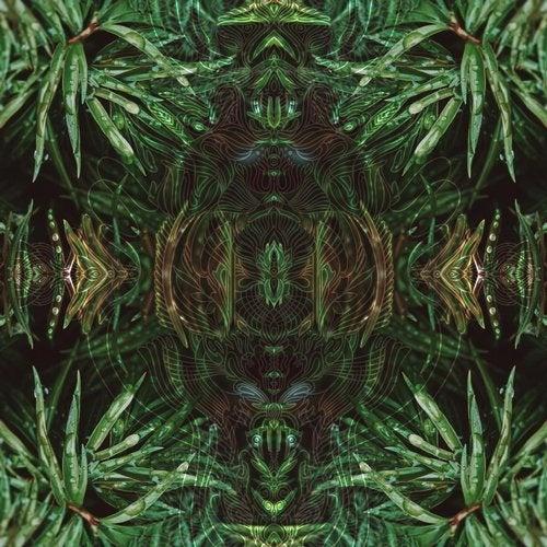 Cura Corazón - Mose, Matia Kalli