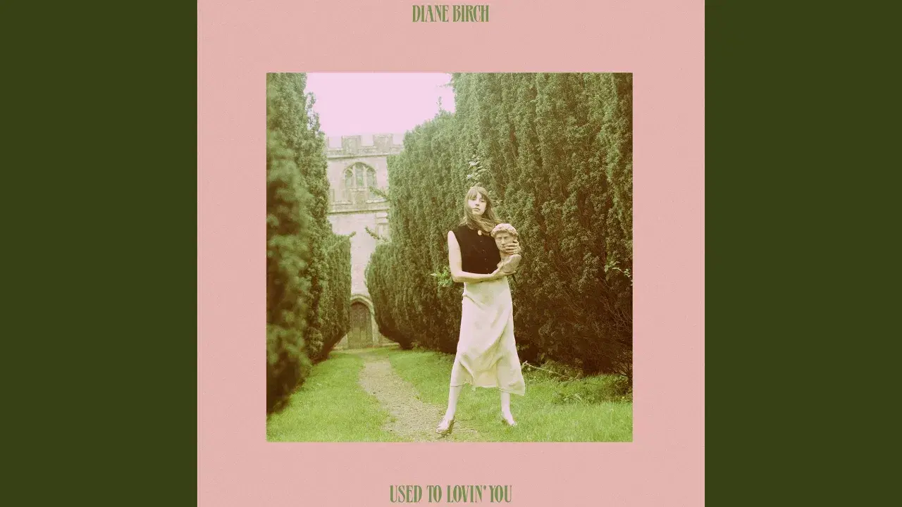 Used to Lovin' You - Diane Birch