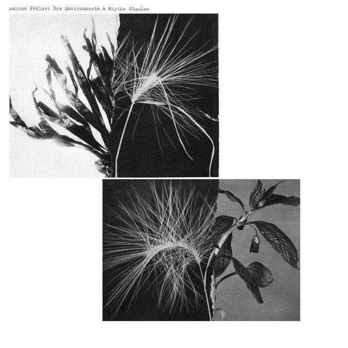 New Environments & Rhythm Studies - Andrew Pekler