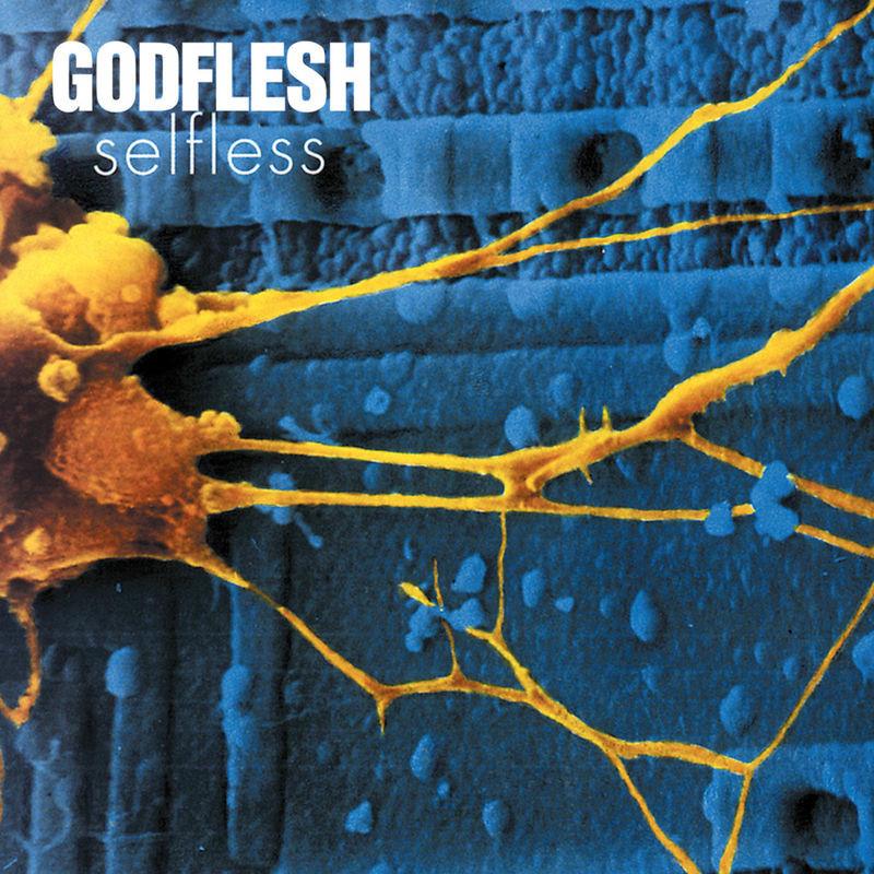 Selfless - Godflesh