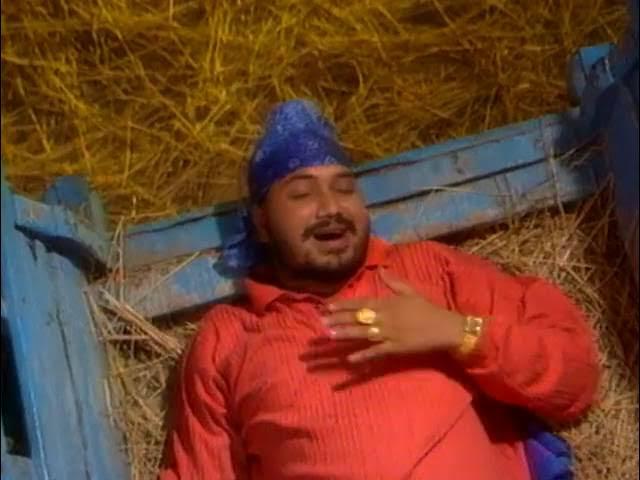 Best of Daler Mehndi (Vol. 2) - Daler Mehndi