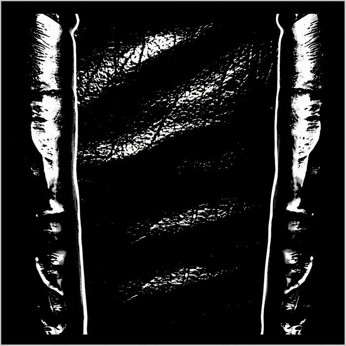 THE ANDREW LILES MEMBERS ONLY MIXES - Black Leather Jesus