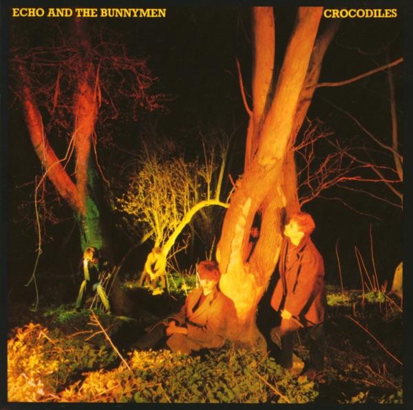 Crocodiles - Echo & The Bunnymen