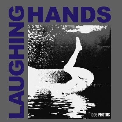 Dog Photos - Laughing Hands