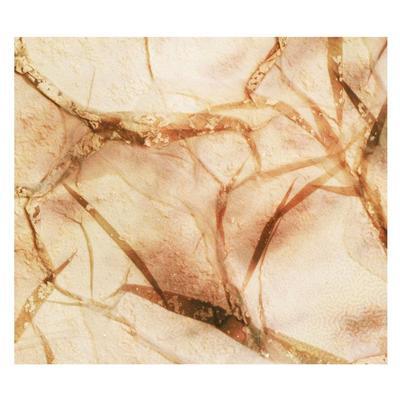 Tectonic Particles - Kayla Painter