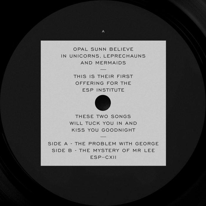 The Problem With George - Opal Sunn