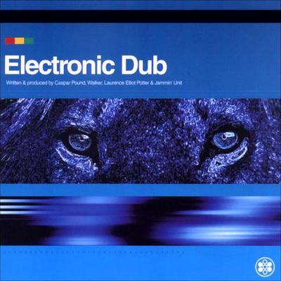 Electronic Dub - Caspar Pound, Walker, Laurence Potter, Jammin' Unit