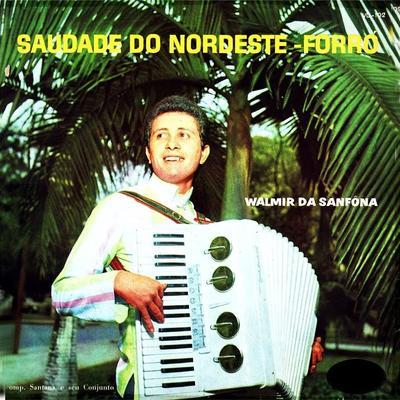 Saudade Do Nordeste - WALMIR DA SANFONA