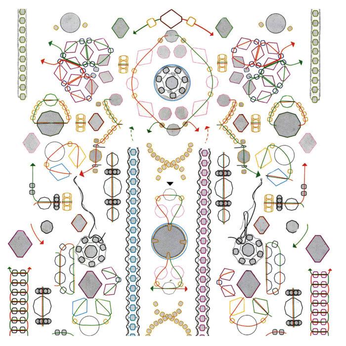 Ideas Flotantes - Bear Bones, Lay Low