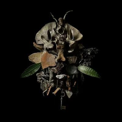 DISPLACES - Francesco Fabris