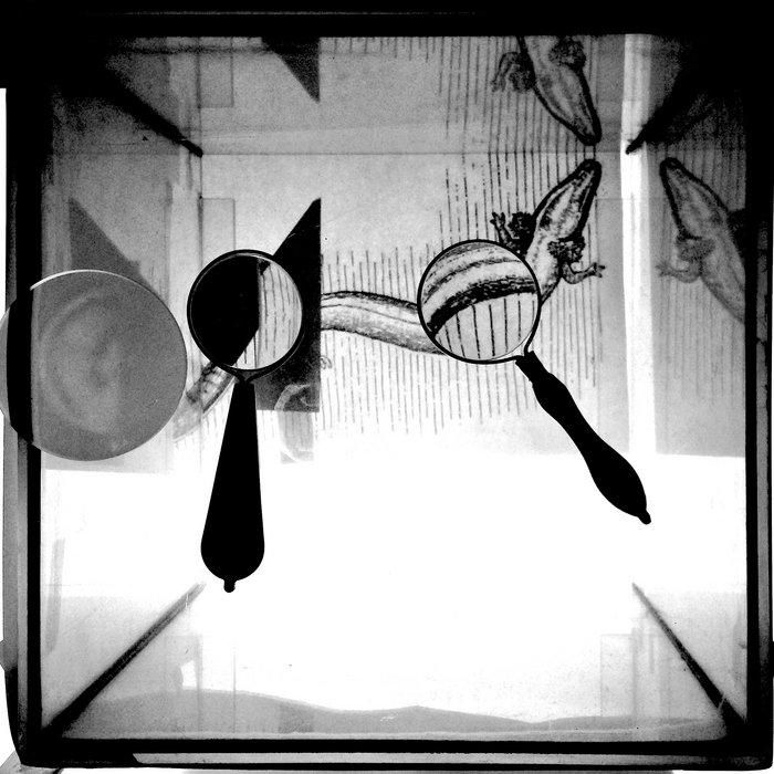  - Robertina Šebjanič