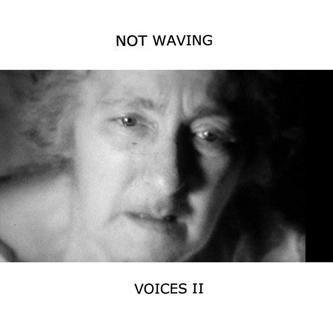 Voices II - Not Waving