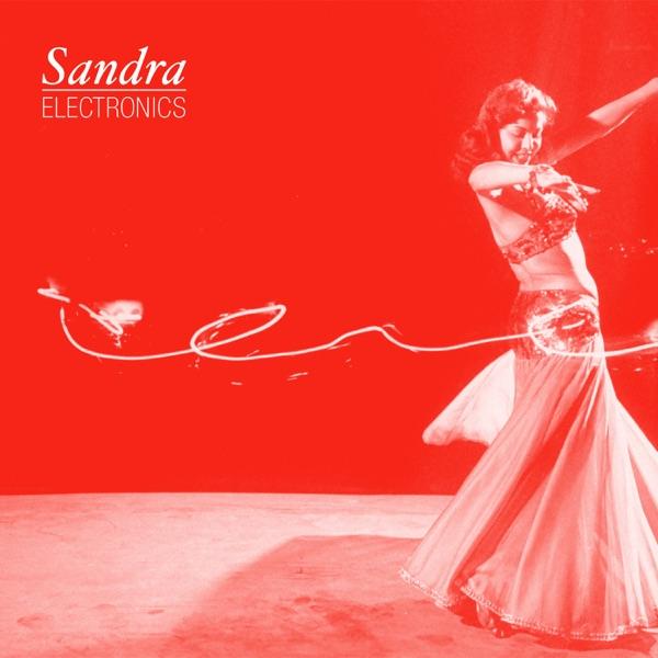 Want Need - Sandra Electronics
