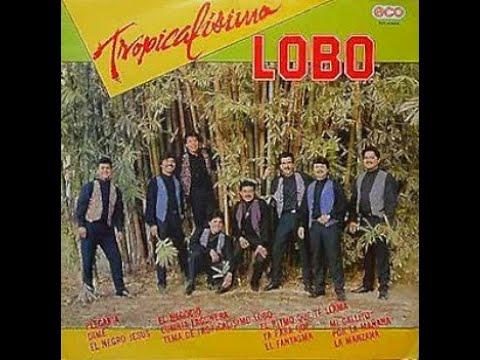  - Tropicalisimo Apache