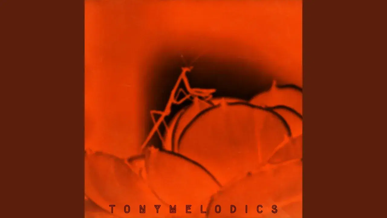 Bullfrog Wrangler - TONYMELODICS