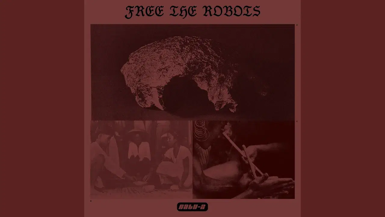  - Free the Robots