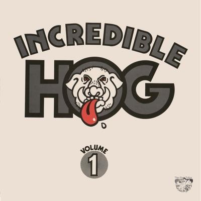 A Visit To The Spaceship Factory - Incredible Hog