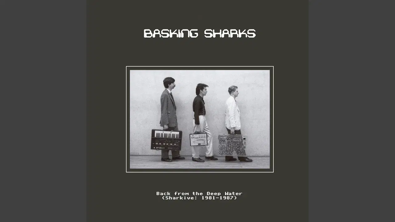 Back from the Deep Water (Sharkive: 1981-1987) - Basking Sharks, Adrian Paul Todd, Gerard McPhail, Martyn John Eames