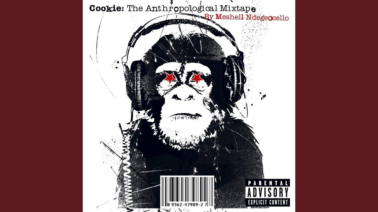 Unreleased - Me'Shell Ndegeocello