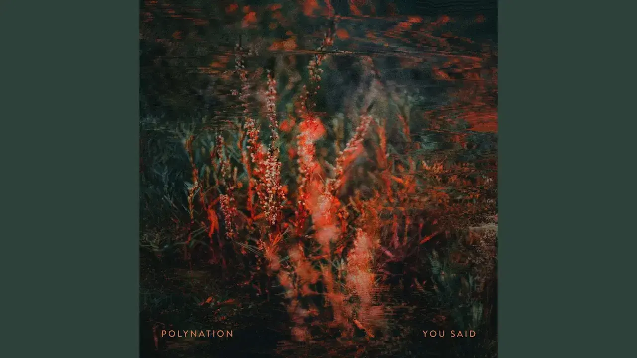  - Polynation