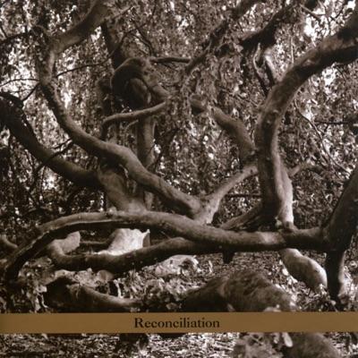 Reconciliation - Daphna Sadeh and the Voyagers