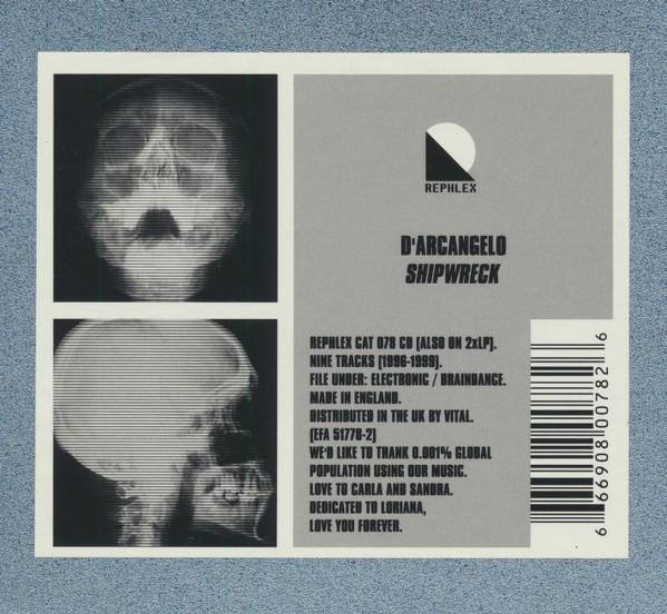 Shipwreck - D'Arcangelo