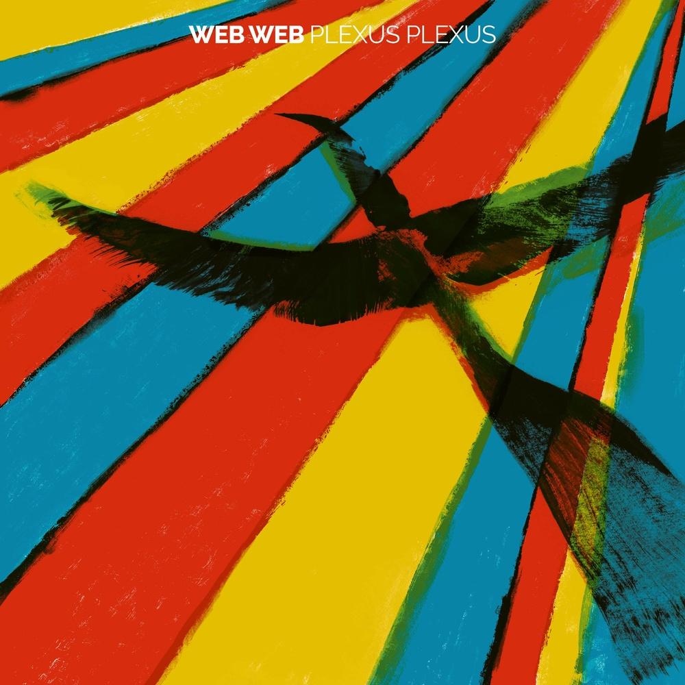Web Web - Plexus Plexus - Web Web