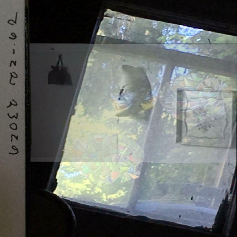 verrucosus unicolor ep - being awone