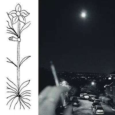  - Jabu, Daniela Dyson, Memotone