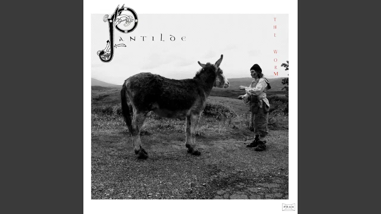 Pantilde - The Worm
