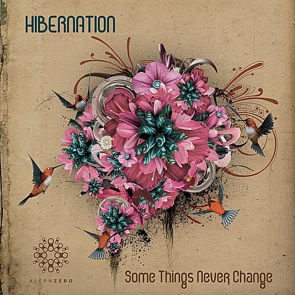 Some Things Never Change - Hibernation